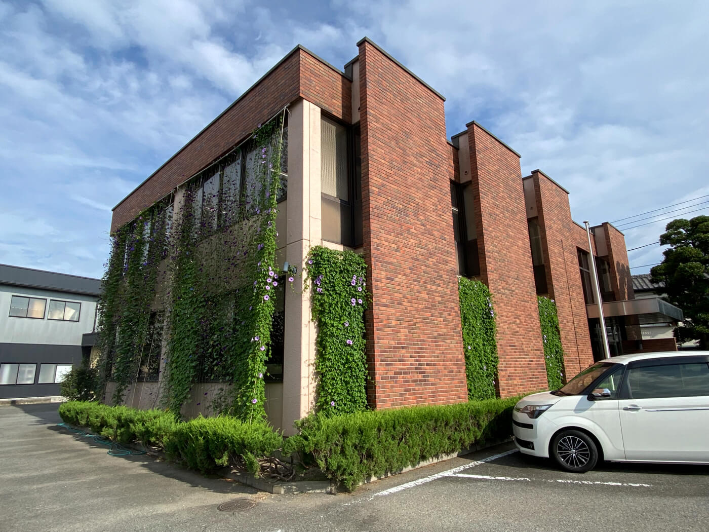 グリーンカーテン