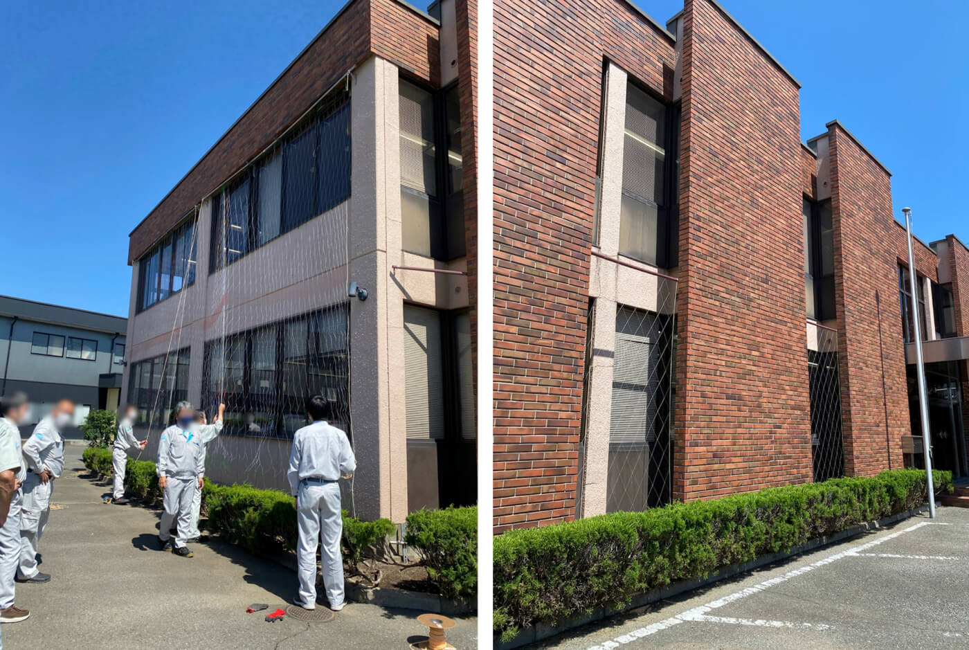 グリーンカーテン