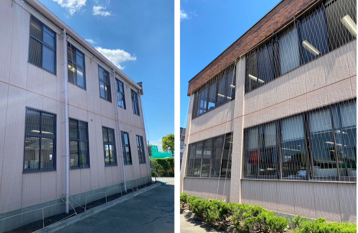 グリーンカーテン