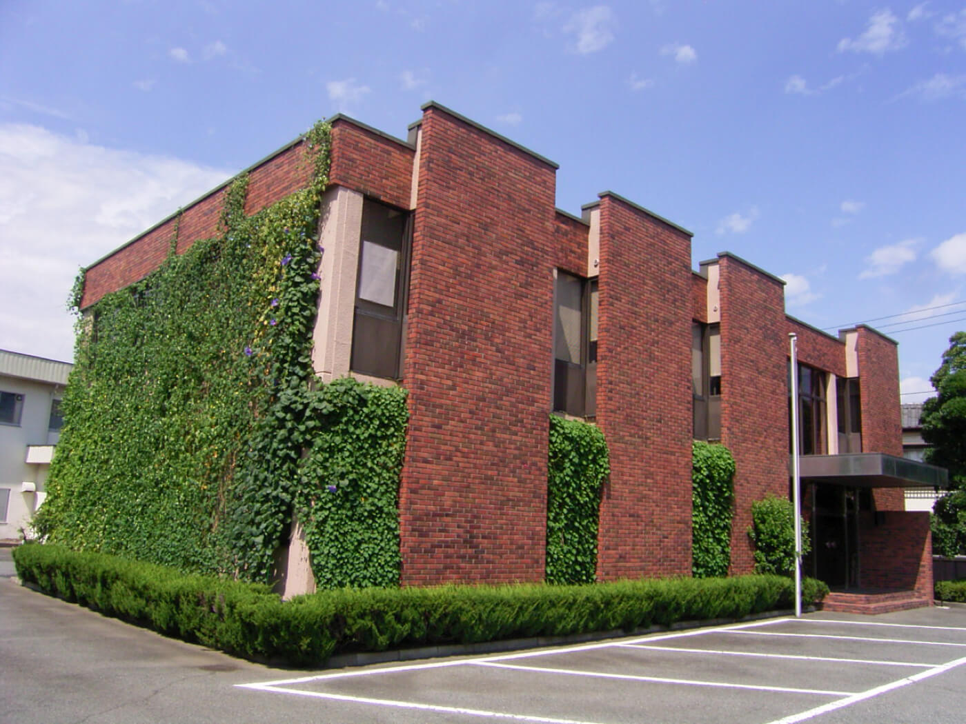 グリーンカーテン