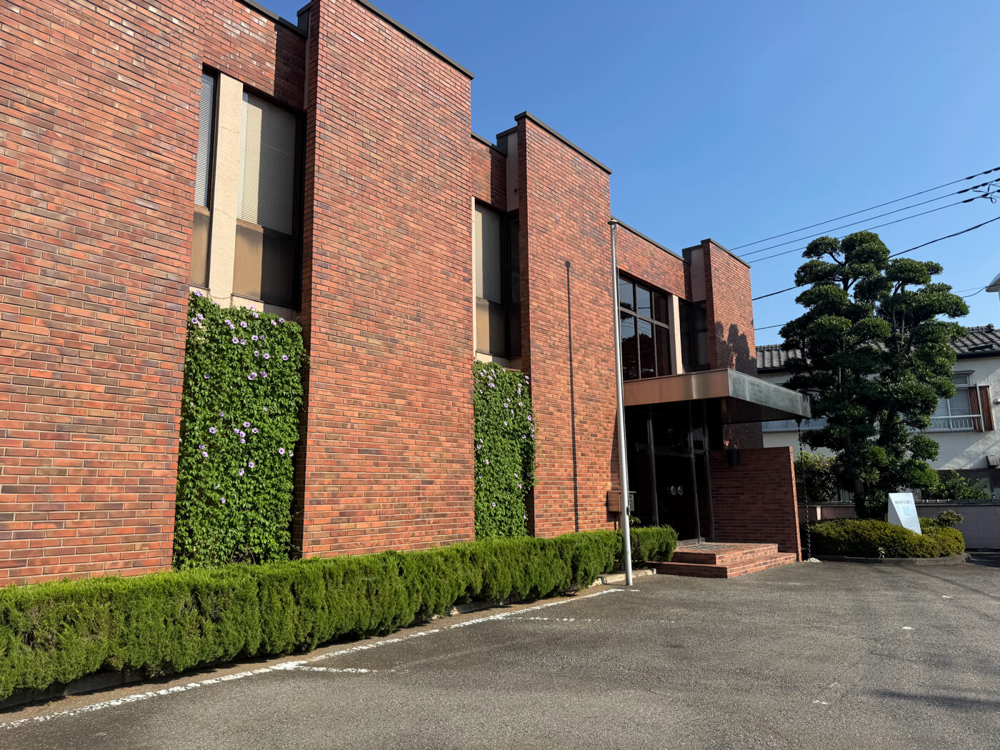 グリーンカーテンの様子