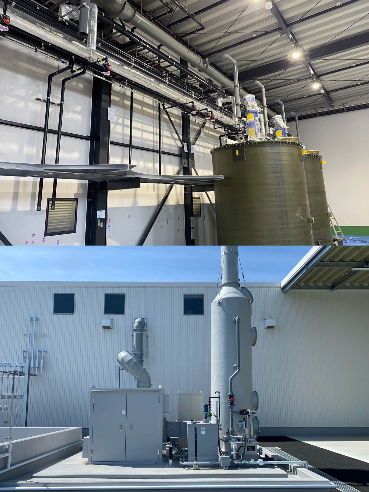 花が咲き始めました