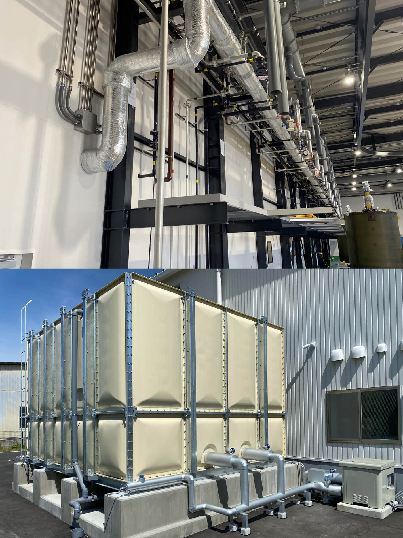 花が咲き始めました