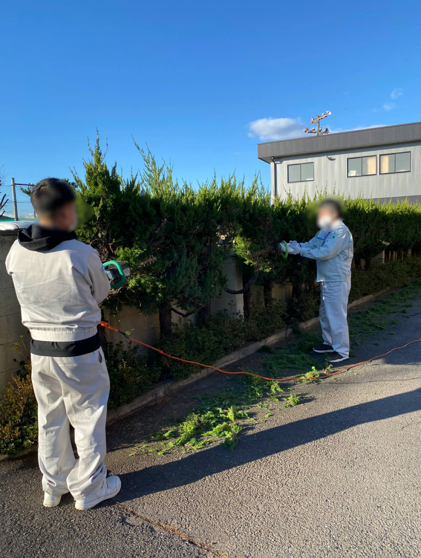 植木の剪定