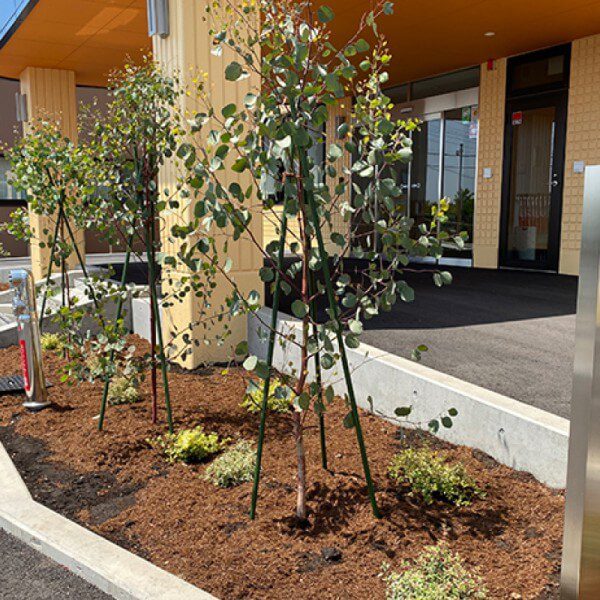 薫英荘（空調・衛生）