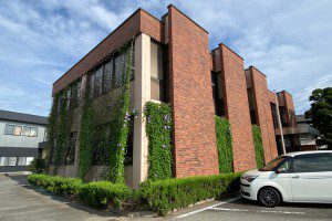 グリーンカーテン完成！