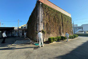 グリーンカーテン撤去