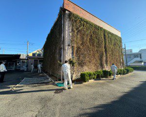 グリーンカーテン撤去