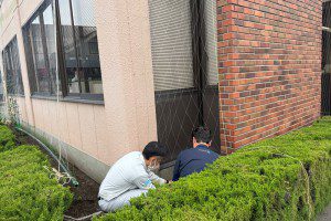 グリーンカーテンのネット設置