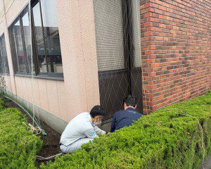 グリーンカーテンのネット設置